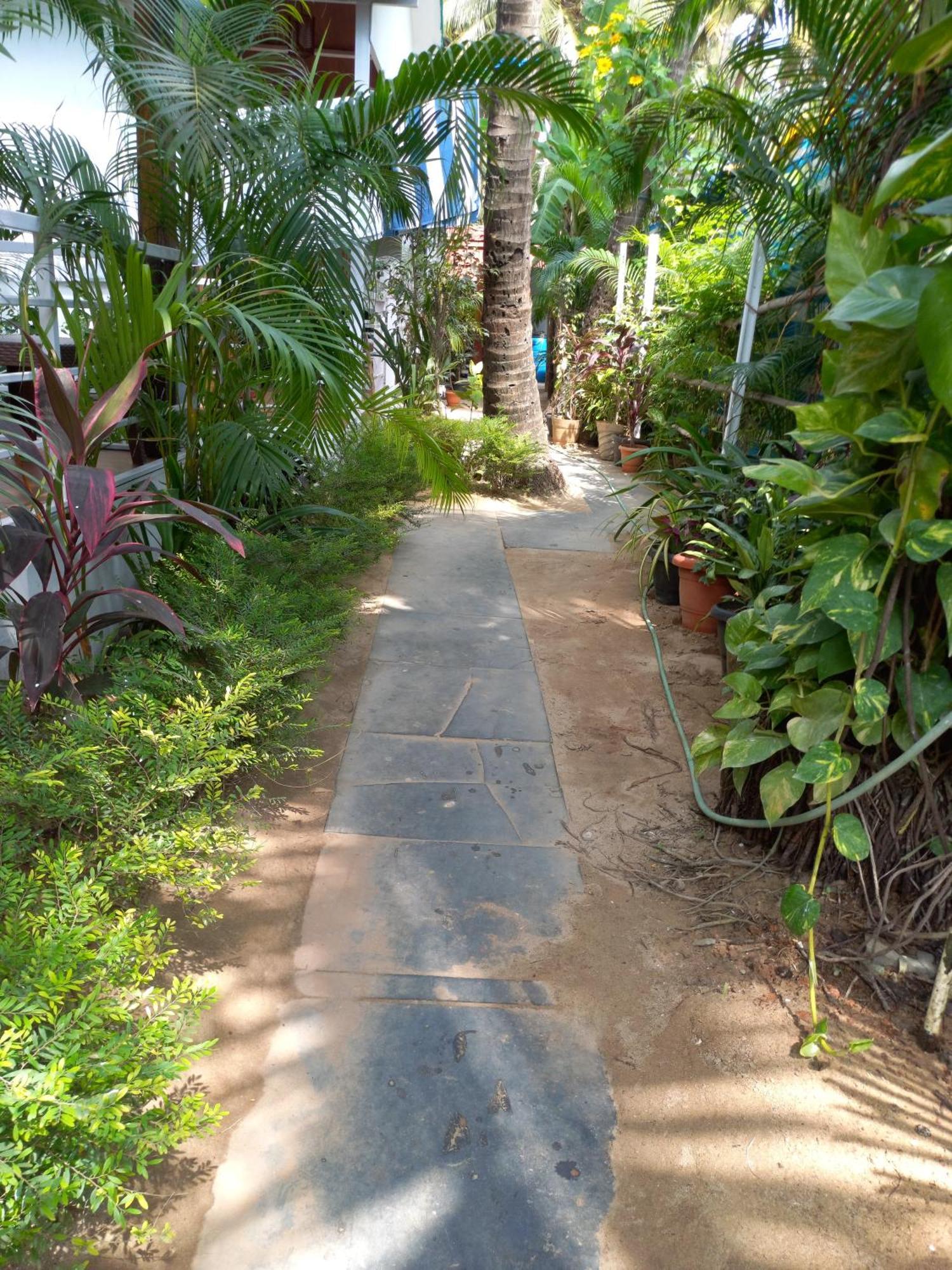 Royal Castle Resort Palolem, Canacona Extérieur photo